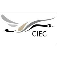 CANADIAN INTERNATIONAL ENERGY CORP